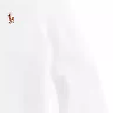 Polo Ralph Lauren FW23 Logo