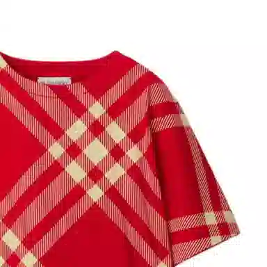 Burberry T