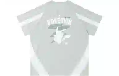 VEIDOORN x POKEMON T