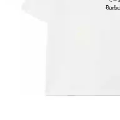 Burberry LogoVT