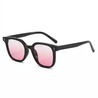 Craftsman Expert TR90 Sunglasses