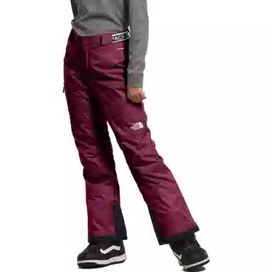 THE NORTH FACE Freedom Insulated Pants