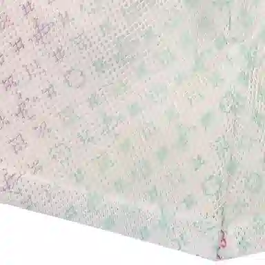 Louis Vuitton SS22 Gradient Logo Shorts White