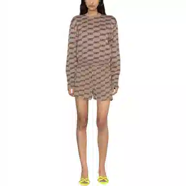 Balenciaga Sweater Brown