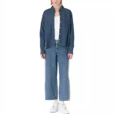 Levis FW23 SilverTab