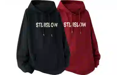 Stillslow Logo 2