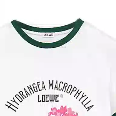 LOEWE SS23 Colorblock Logo Floral T-Shirt White