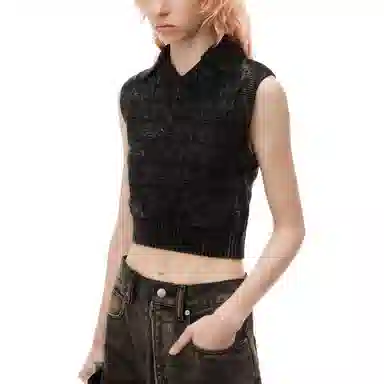 alexander wang FW24 V