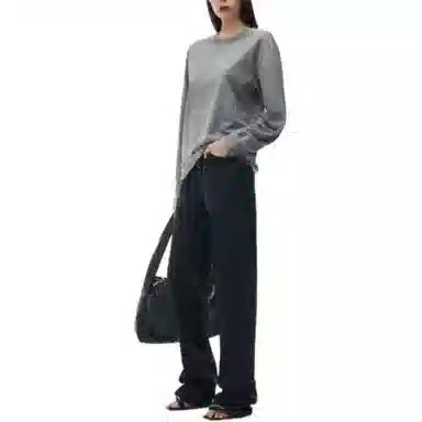 alexander wang Logo T