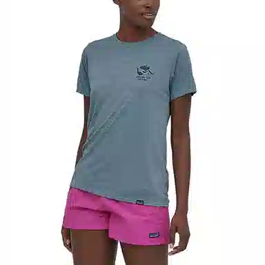 patagonia T