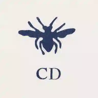 DIOR FW24 Logo T