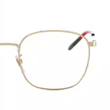 Gucci Optical Frame