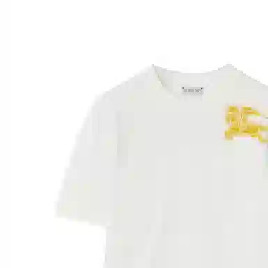 Burberry T