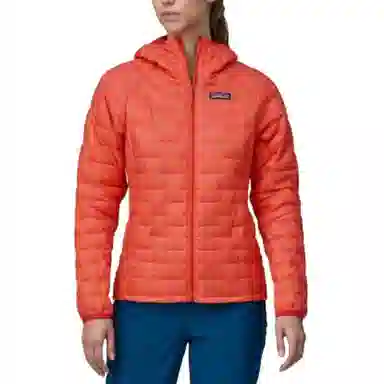patagonia Micro Puff Logo
