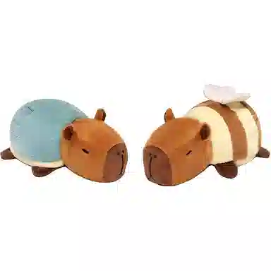 25cm35cm