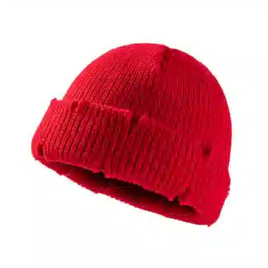 DZP Beanie