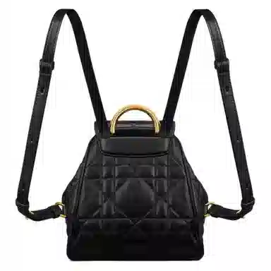 Dior Caro Backpack