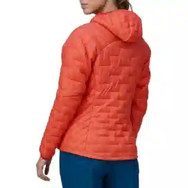 patagonia Micro Puff Logo