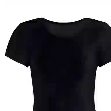 PLEATS PLEASE ISSEY MIYAKE T