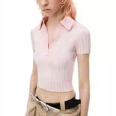 Alexander Wang FW24 Striped Slim Polo Pink