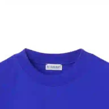 Burberry T