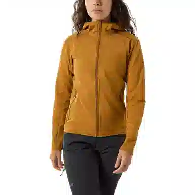 Arcteryx Kyanite LT Hoody Womens