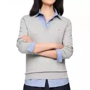 Tommy Hilfiger Vlogo