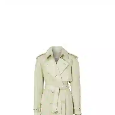Burberry Trench Coat Mist Green