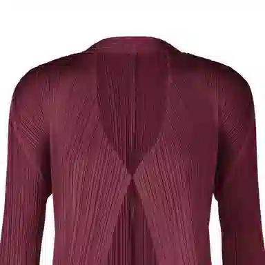 PLEATS PLEASE ISSEY MIYAKE V