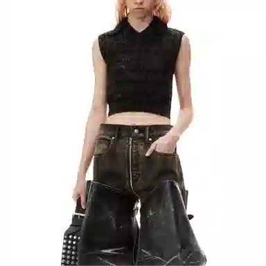 alexander wang FW24 V