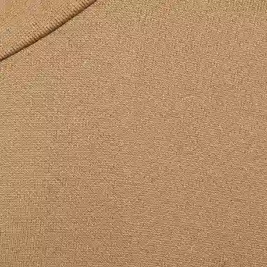 Gucci x The North Face FW21 Camel Turtleneck