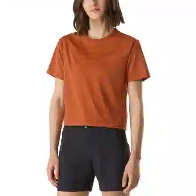 Arcteryx Taema Taema Crop Logo T