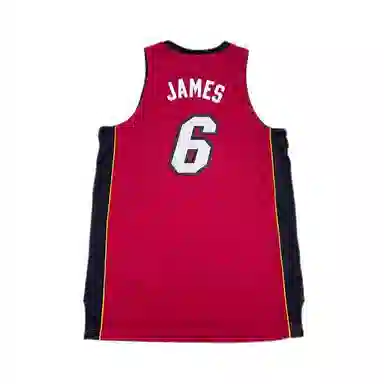 adidas x NBA James Swingman Jersey Red