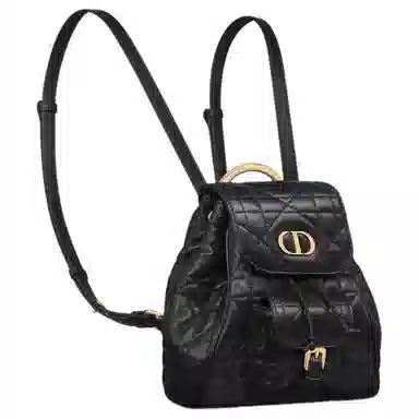 Dior Caro Backpack