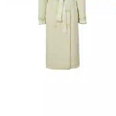 Burberry Trench Coat Mist Green