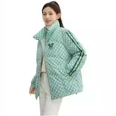 鸭鸭 花色立领合身羽绒服 女款