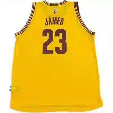 adidas x NBA JAMES 23