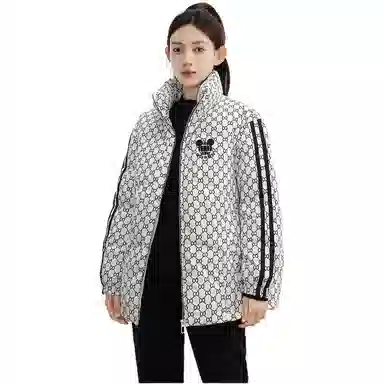 鸭鸭 花色立领合身羽绒服 女款