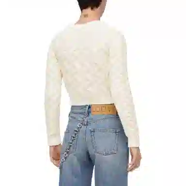 LOEWE Sweater In Wool