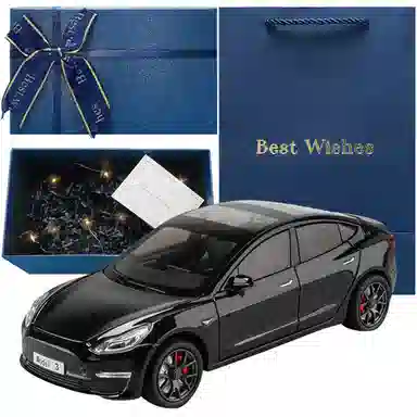 TY MODELS Tesla Model3