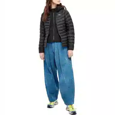 Arcteryx Cerium LT Hoody