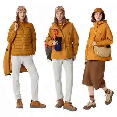 NORTHLAND PROFESSIONAL