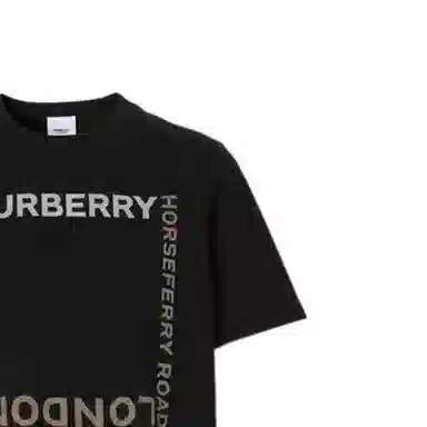 Burberry FW22 T