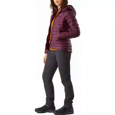 Arcteryx Cerium LT Hoody