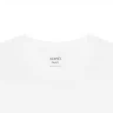 HERMES FW23 T