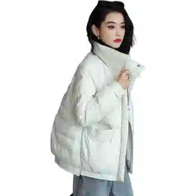 鸭鸭 立领无弹宽松拉链长袖保暖羽绒服 女款