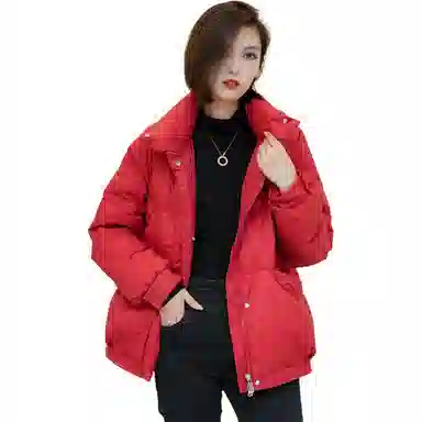 鸭鸭 立领无弹宽松拉链长袖保暖羽绒服 女款
