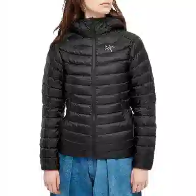 Arcteryx Cerium LT Hoody