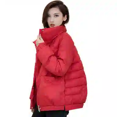 鸭鸭 立领无弹宽松拉链长袖保暖羽绒服 女款