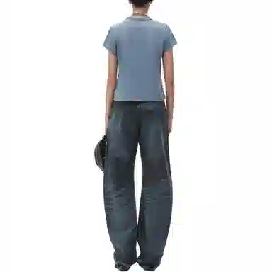 alexander wang FW24 T